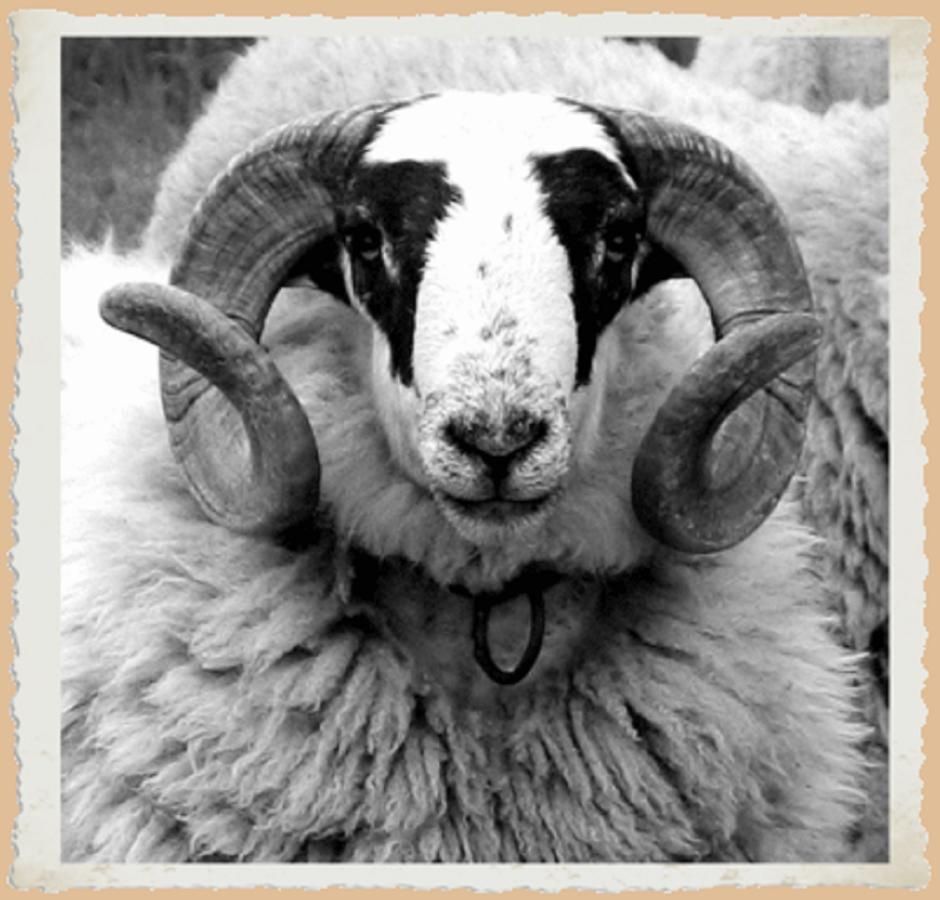 Fresne-Saint-Mames L'Hotel Du Mouton Blanc מראה חיצוני תמונה
